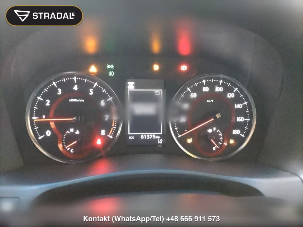 TOYOTA ALPHARD 2.5S TYPE GOLD, miniaturka 7