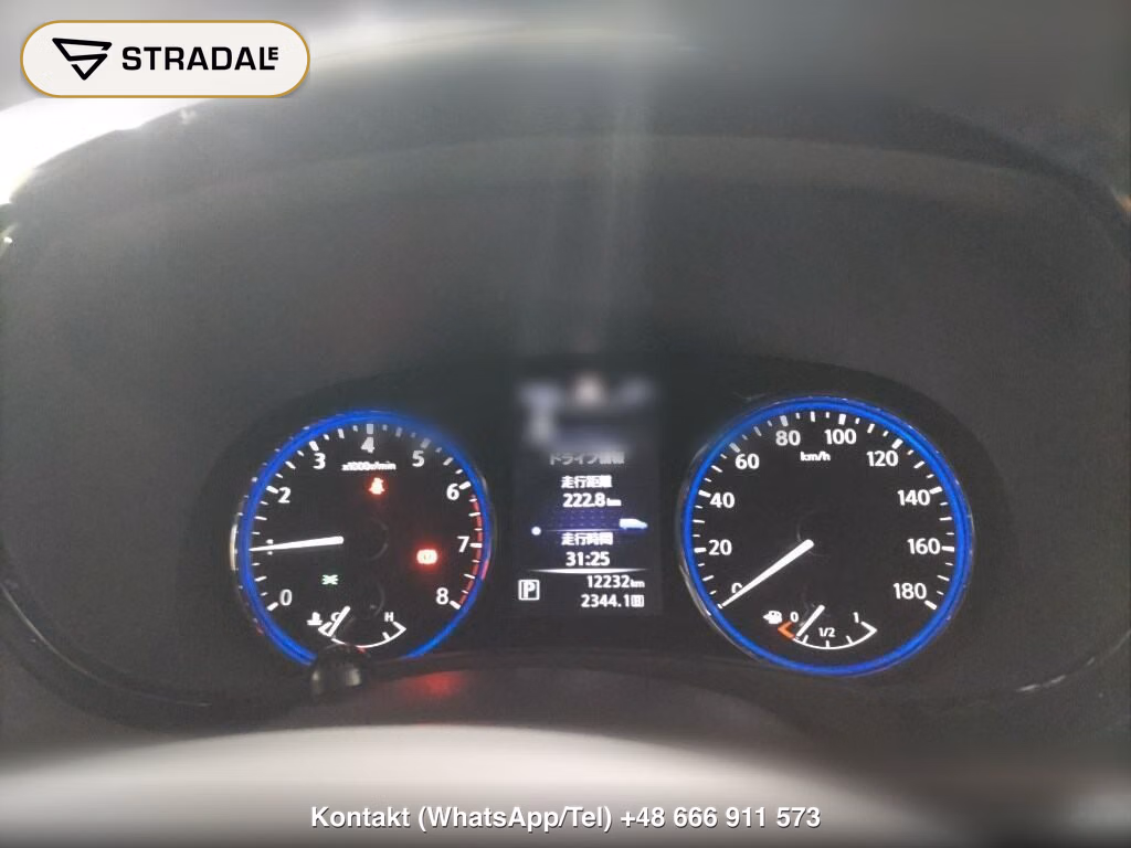 NISSAN ELGRAND 5D 250 HIGHWAY STAR S, miniaturka 7