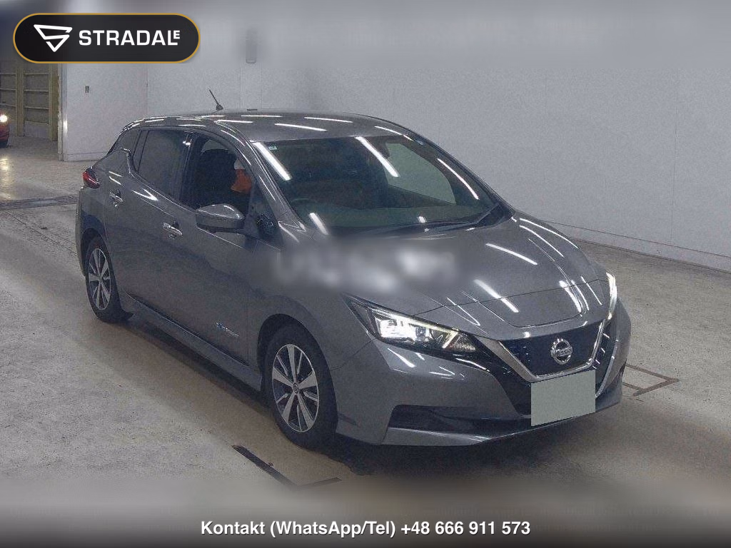 NISSAN LEAF X, miniaturka 2