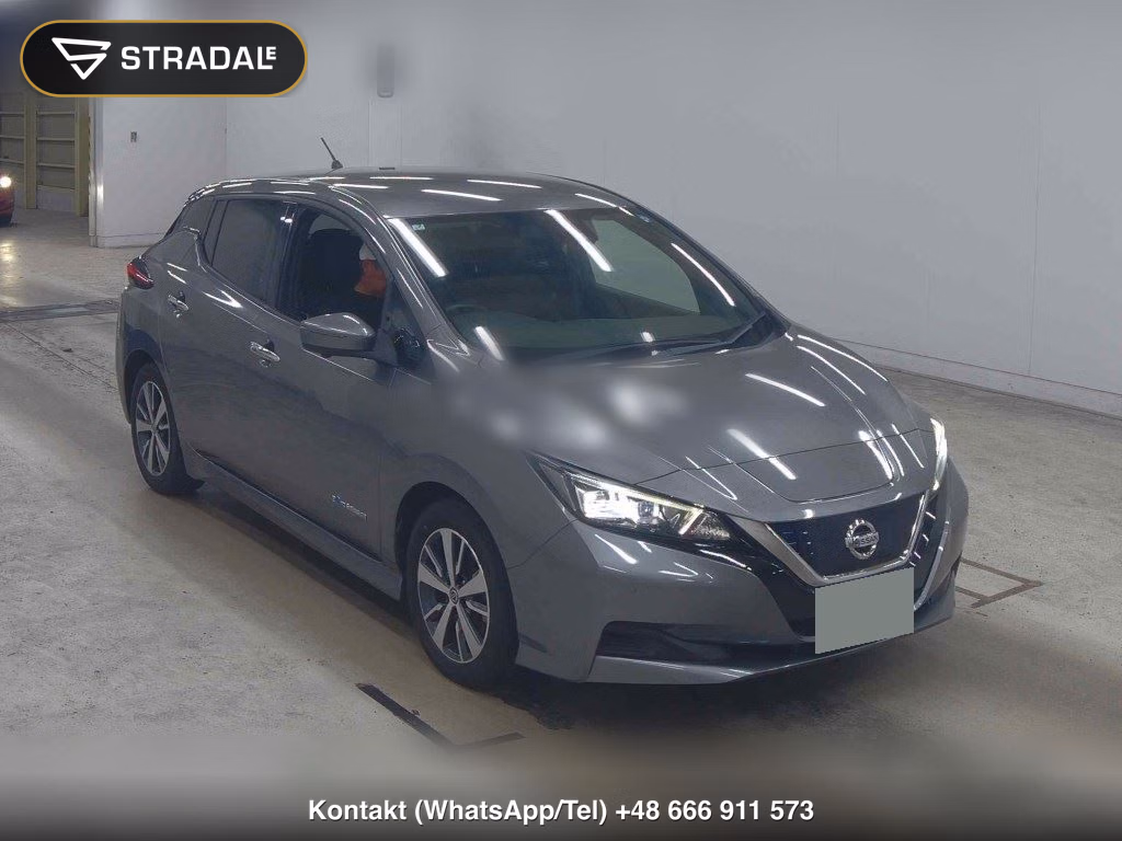 NISSAN LEAF X 2019, aukcja z Japonii, zdjęcie 1