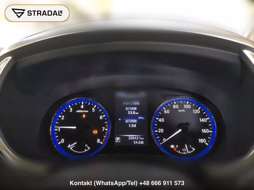NISSAN ELGRAND 5D VIP, miniaturka 7