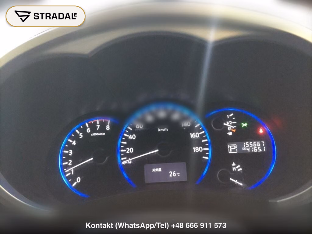 NISSAN ELGRAND 5D 250 HIGHWAY STAR, miniaturka 7