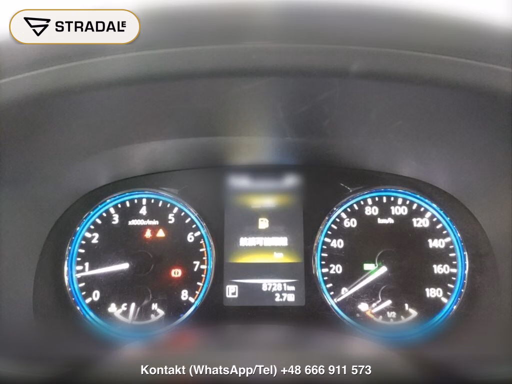 NISSAN ELGRAND 5D 250 HIGHWAY STAR S, miniaturka 7