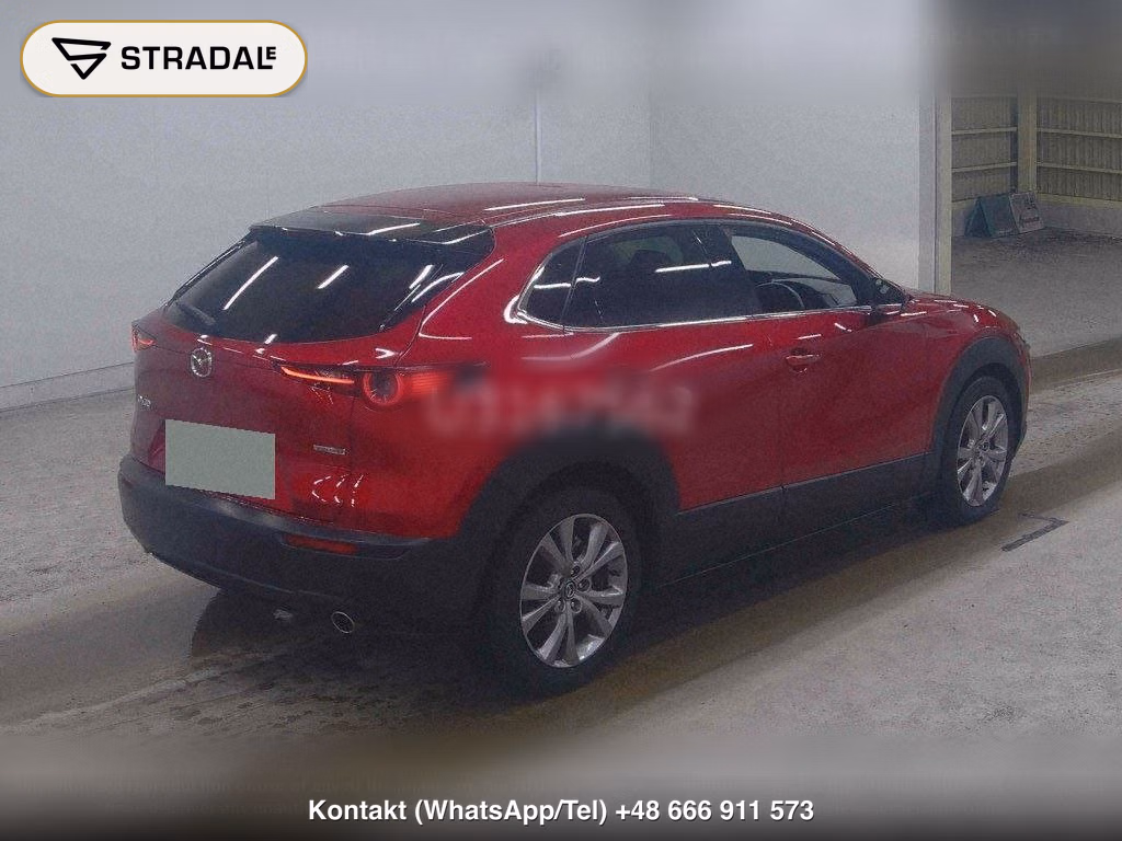 MAZDA CX-30 XD L PACKAGE, miniaturka 6