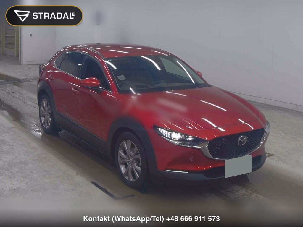 MAZDA CX-30 XD L PACKAGE 2019, aukcja z Japonii, zdjęcie 1