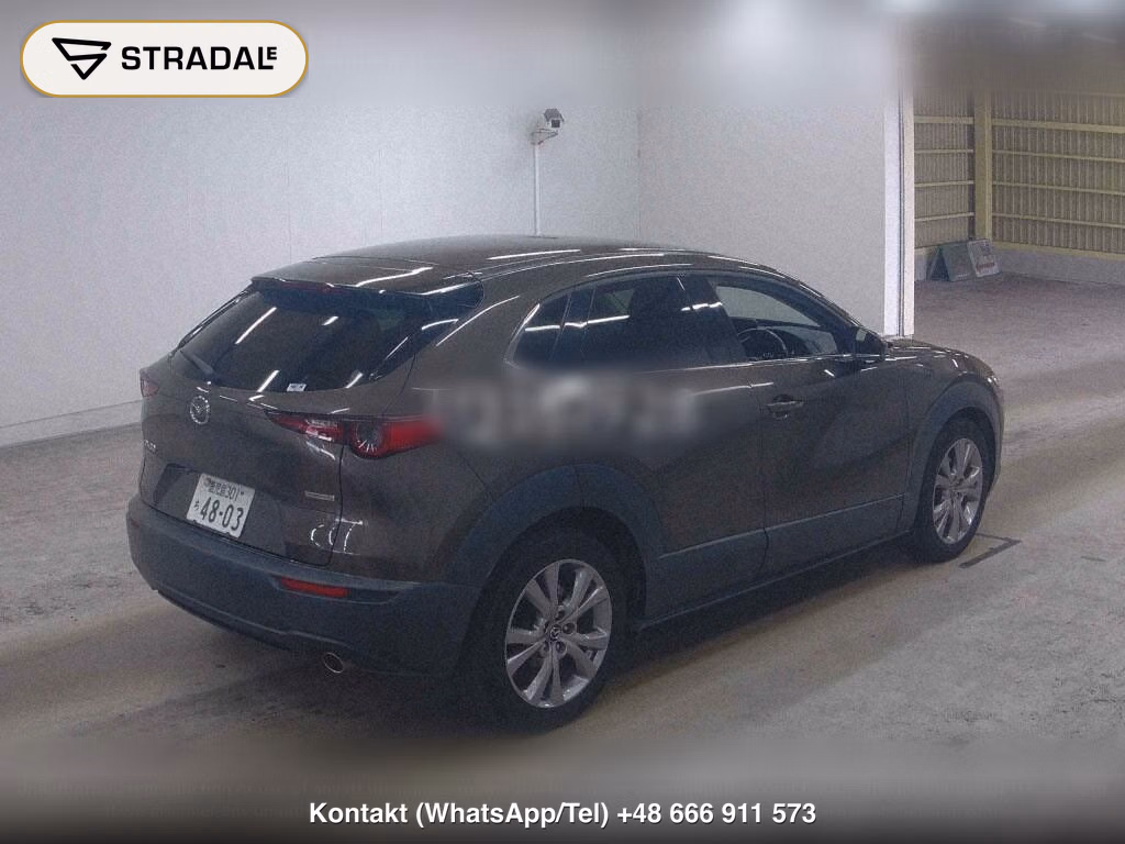 MAZDA CX-30 20S PROACTIVE TOURING SELECTION, miniaturka 6