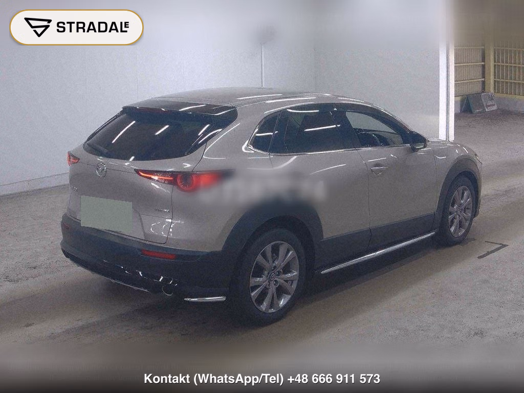 MAZDA CX-30 20S PROACTIVE TOURING SELECTION, miniaturka 6