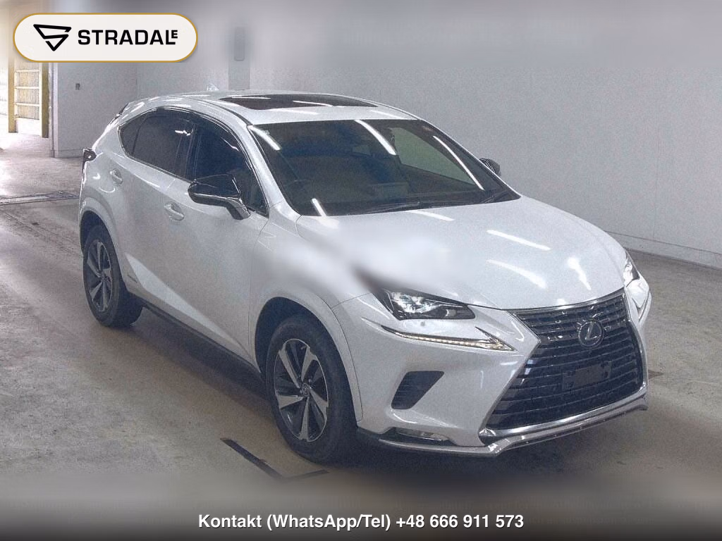 LEXUS NX NX300H SPECIAL EDITION SPICE AND CHIC, miniaturka 2