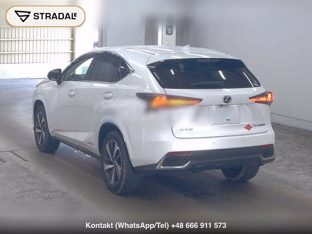 LEXUS NX NX300H SPECIAL EDITION SPICE AND CHIC, miniaturka 3