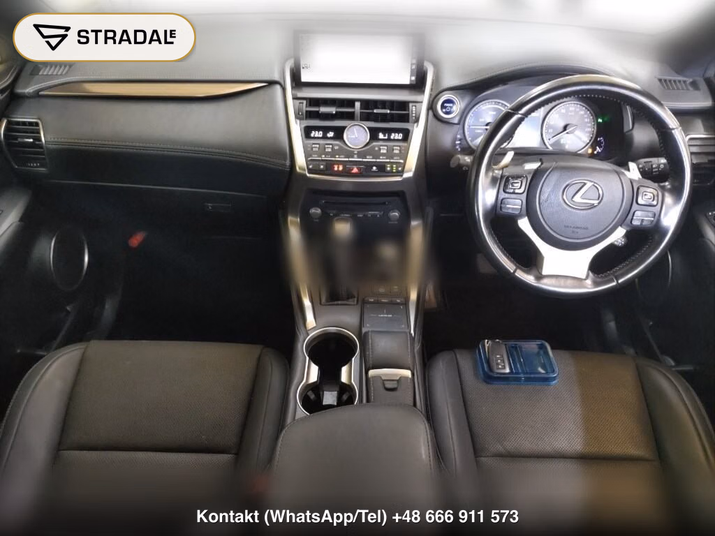 LEXUS NX NX300H SPECIAL EDITION SPICE AND CHIC, miniaturka 4