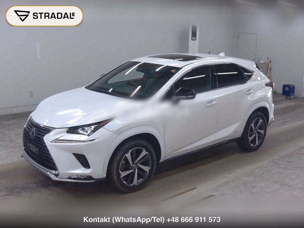 LEXUS NX NX300H SPECIAL EDITION SPICE AND CHIC, miniaturka 5