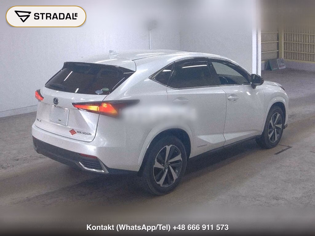 LEXUS NX NX300H SPECIAL EDITION SPICE AND CHIC, miniaturka 6
