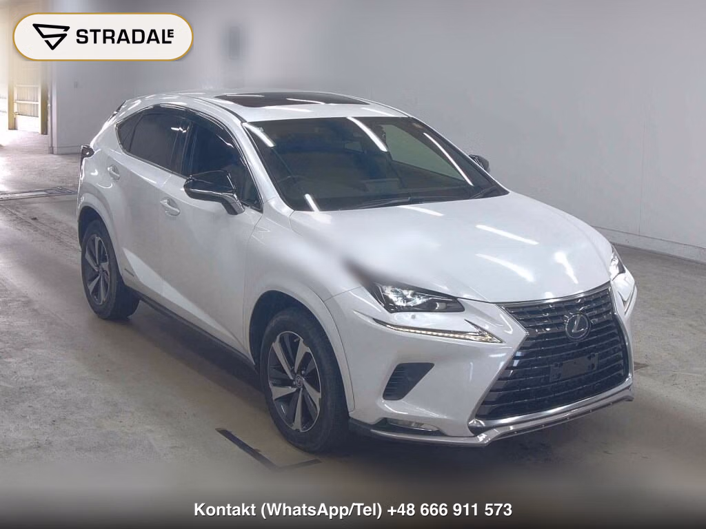 LEXUS NX NX300H SPECIAL EDITION SPICE AND CHIC 2020, aukcja z Japonii, zdjęcie 1