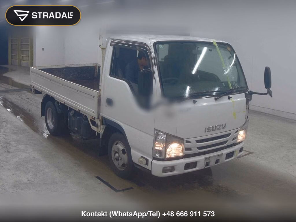 ISUZU ELF TRUCK 2D 2019, aukcja z Japonii, zdjęcie 1