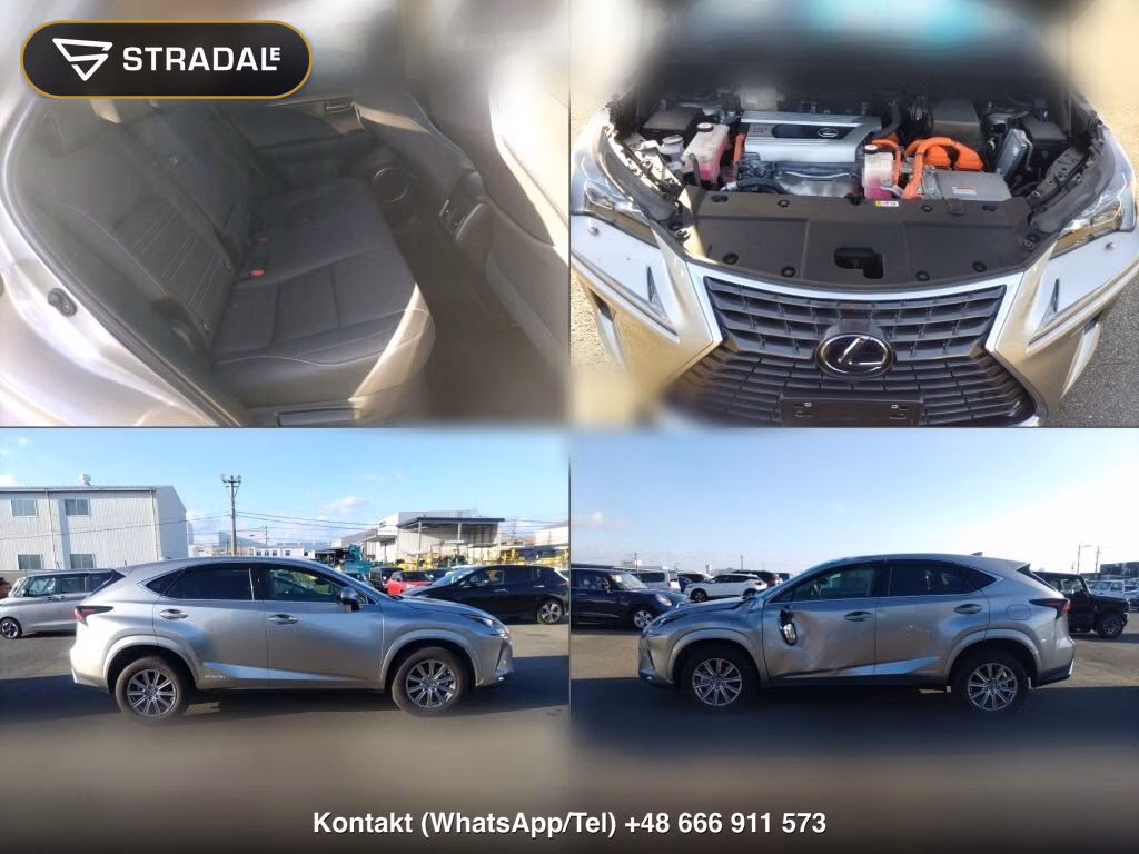 LEXUS NX NX300H I PACKAGE, miniaturka 6