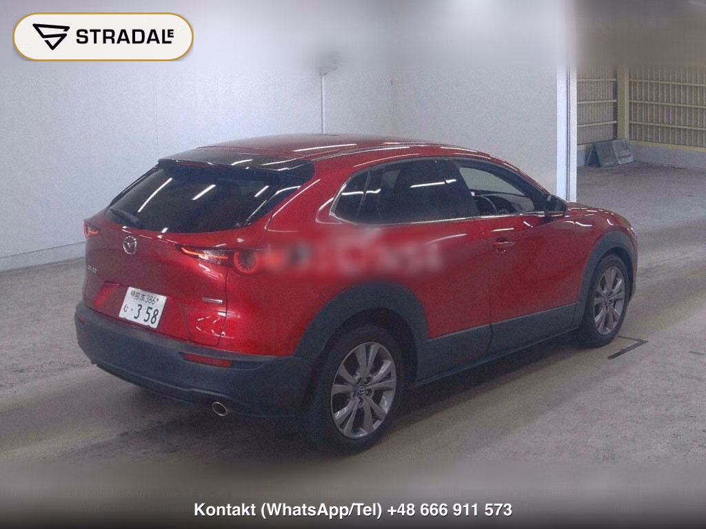 MAZDA CX-30 XD L PACKAGE, miniaturka 6