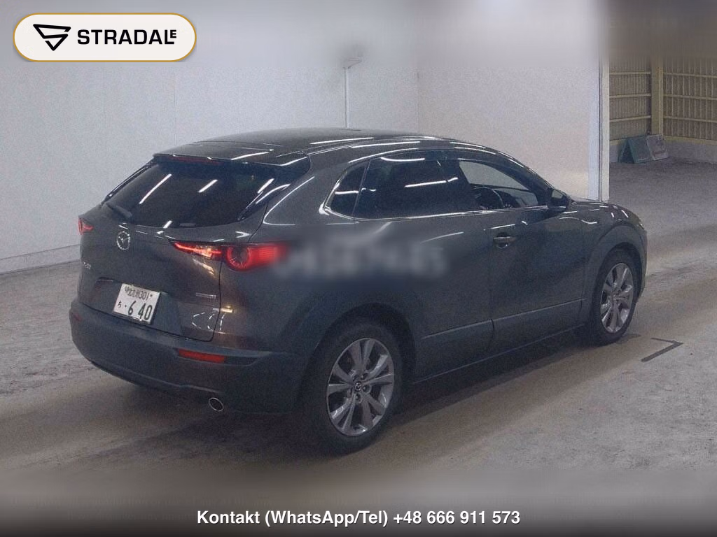 MAZDA CX-30 XD PROACTIVE TOURING SELECTION, miniaturka 6