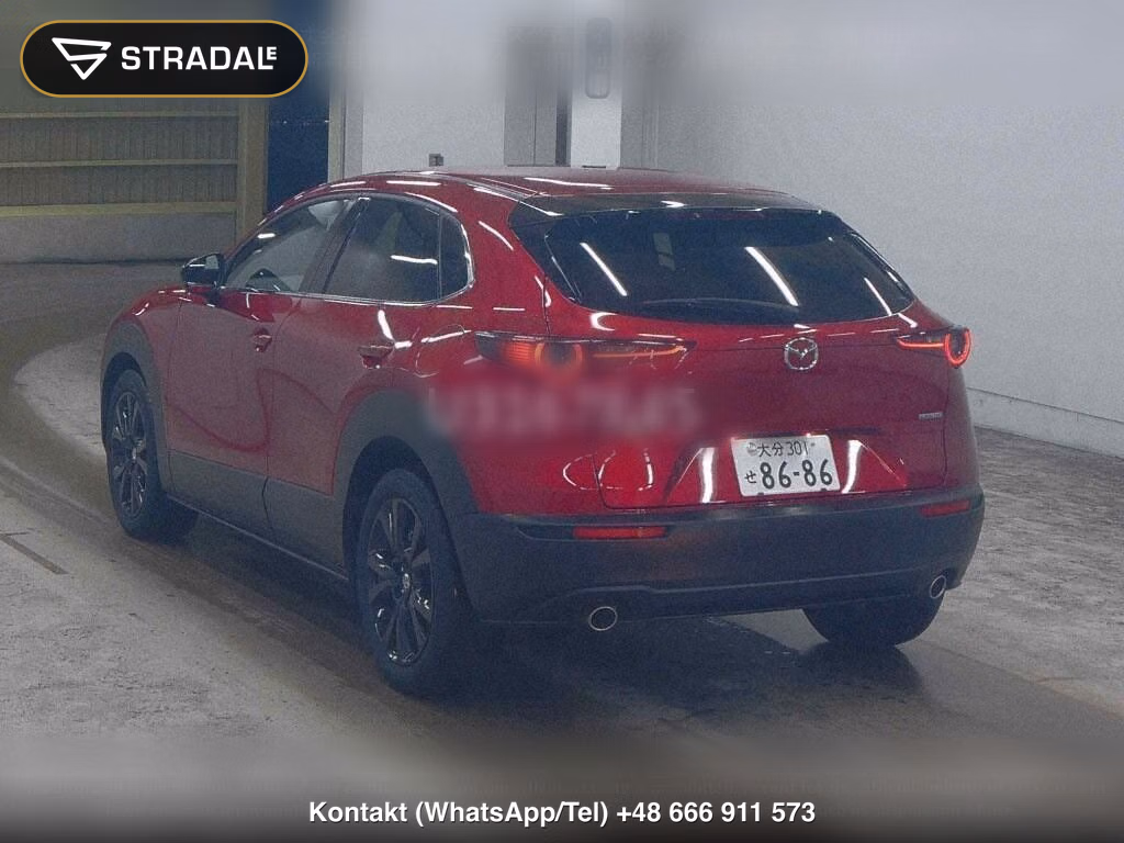 MAZDA CX-30 20S RETRO SPORTS EDITION, miniaturka 3
