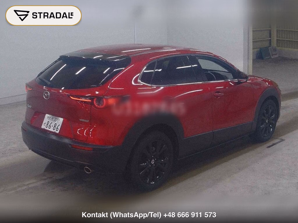MAZDA CX-30 20S RETRO SPORTS EDITION, miniaturka 6