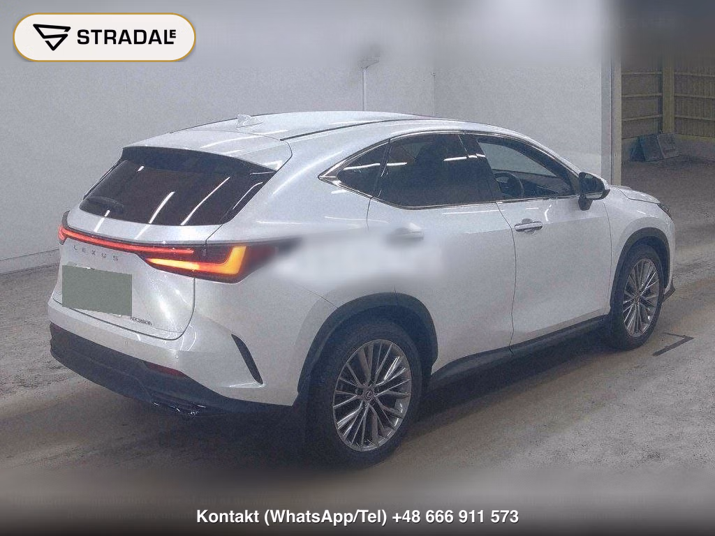 LEXUS NX NX350H VERSION L, miniaturka 6