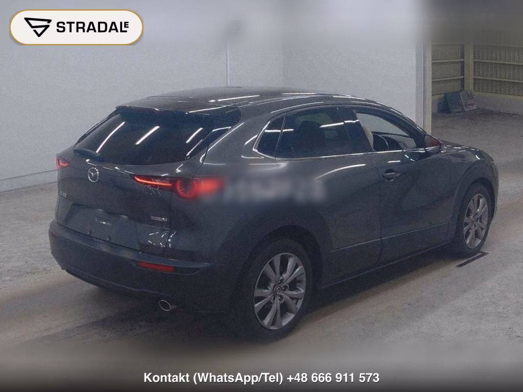 MAZDA CX-30 20S L PACKAGE, miniaturka 6