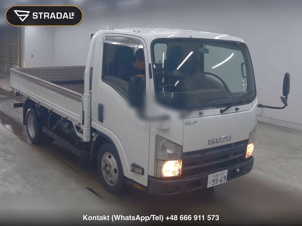 ISUZU ELF TRUCK 2D 2010, aukcja z Japonii, zdjęcie 1