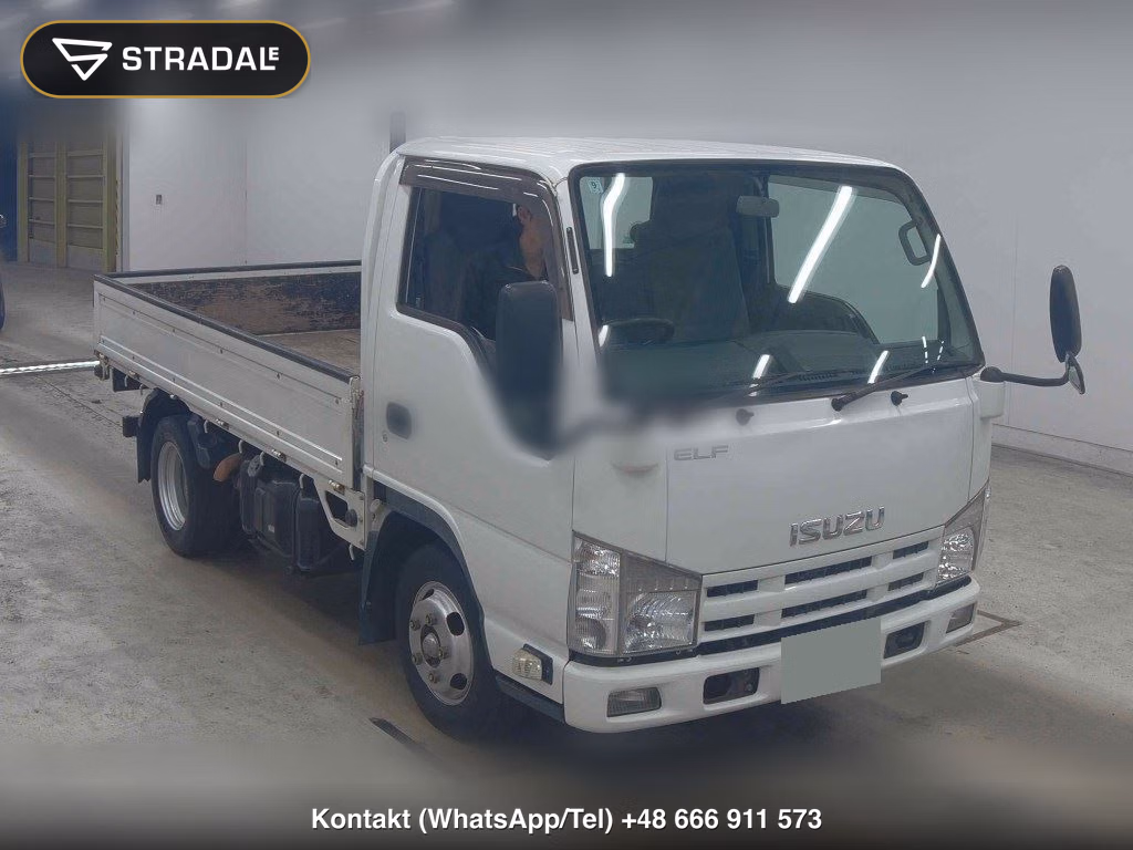 ISUZU ELF TRUCK 2D 2010, aukcja z Japonii, zdjęcie 1