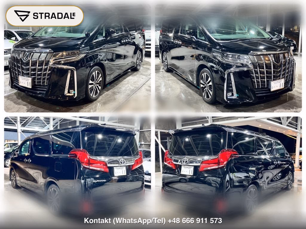 TOYOTA ALPHARD 2.5S C PACKAGE, miniaturka 10