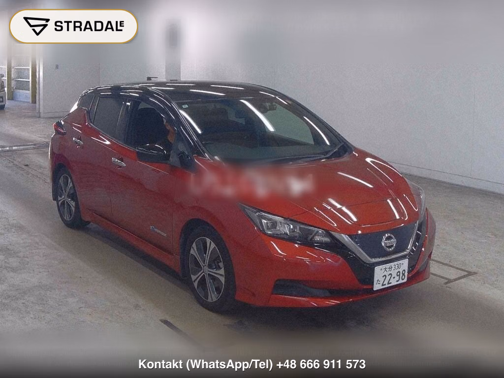 NISSAN LEAF X 10 THOUSAND UNITS MEMORIAL CAR, miniaturka 2