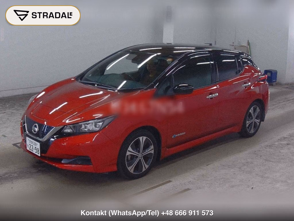 NISSAN LEAF X 10 THOUSAND UNITS MEMORIAL CAR, miniaturka 5