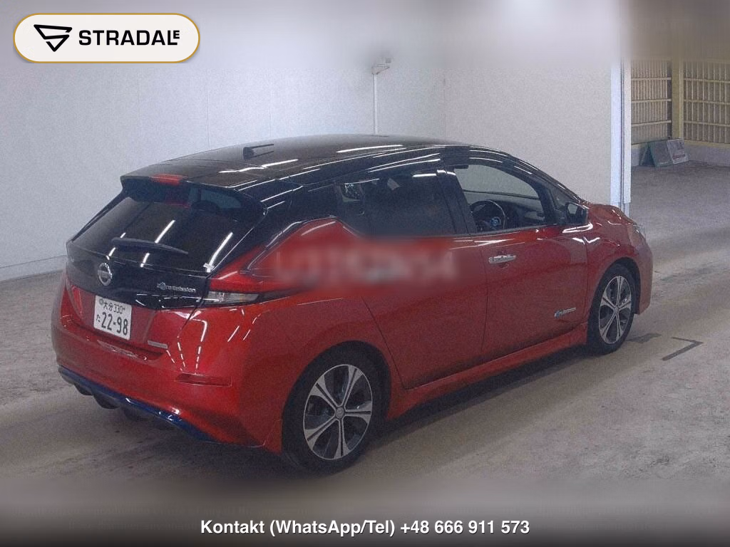 NISSAN LEAF X 10 THOUSAND UNITS MEMORIAL CAR, miniaturka 6