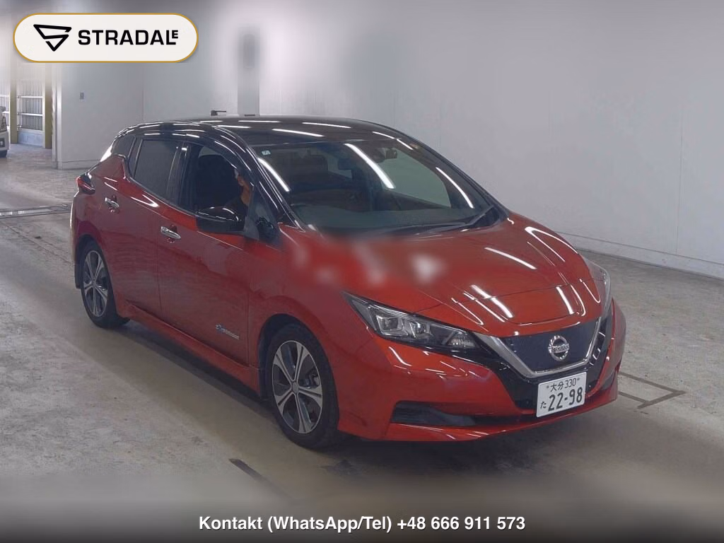 NISSAN LEAF X 10 THOUSAND UNITS MEMORIAL CAR 2018, aukcja z Japonii, zdjęcie 1