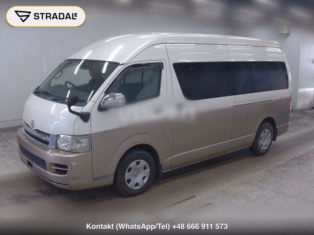 TOYOTA HIACE WAGON 4D GRAND CABIN, miniaturka 5