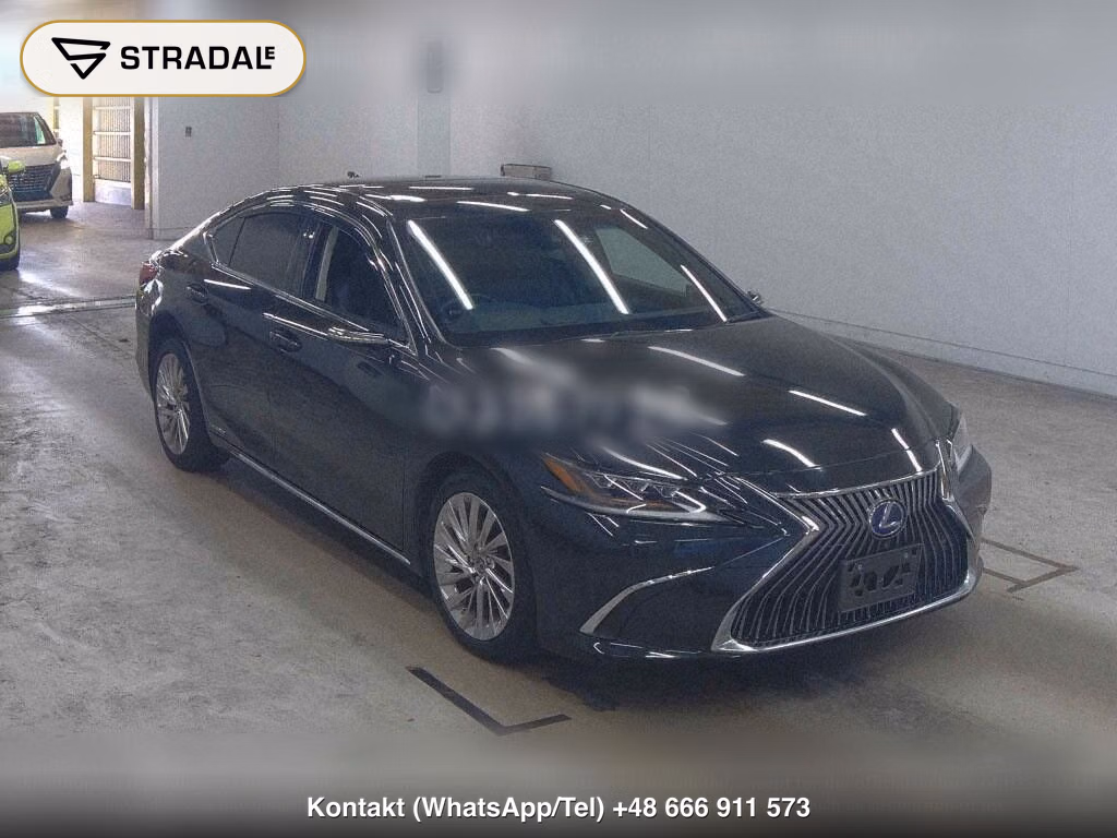 LEXUS ES ES300H VERSION L, miniaturka 2