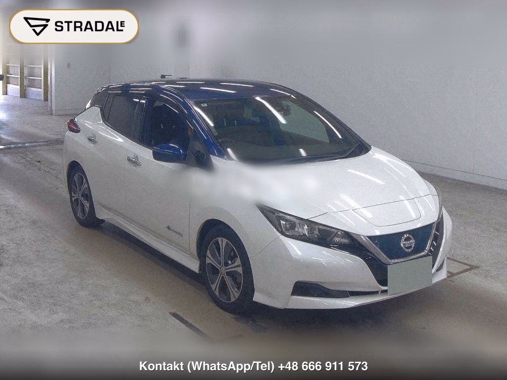 NISSAN LEAF X 10 THOUSAND UNITS MEMORIAL CAR, miniaturka 2