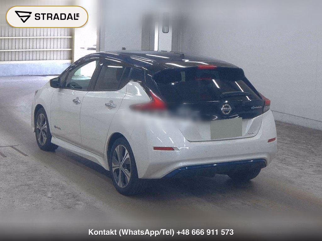 NISSAN LEAF X 10 THOUSAND UNITS MEMORIAL CAR, miniaturka 3