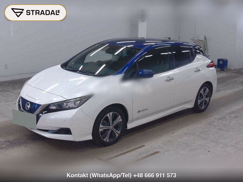 NISSAN LEAF X 10 THOUSAND UNITS MEMORIAL CAR, miniaturka 5