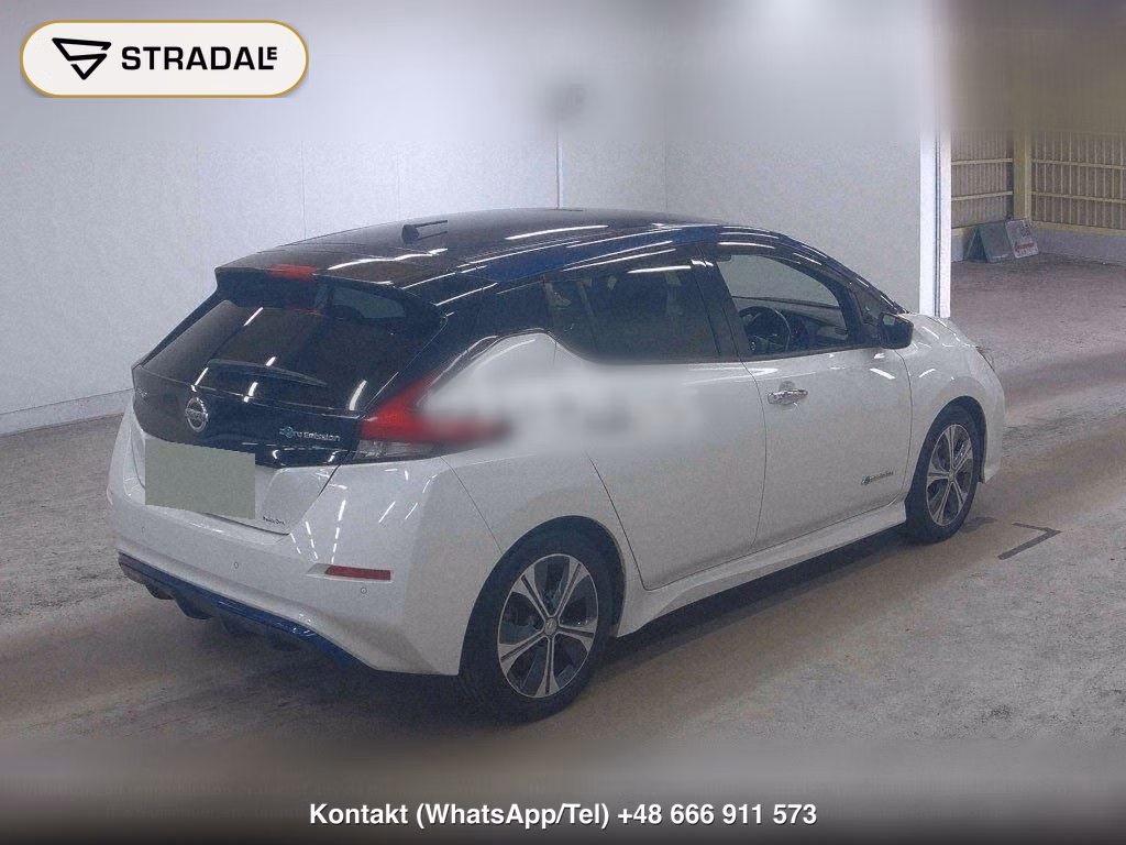NISSAN LEAF X 10 THOUSAND UNITS MEMORIAL CAR, miniaturka 6