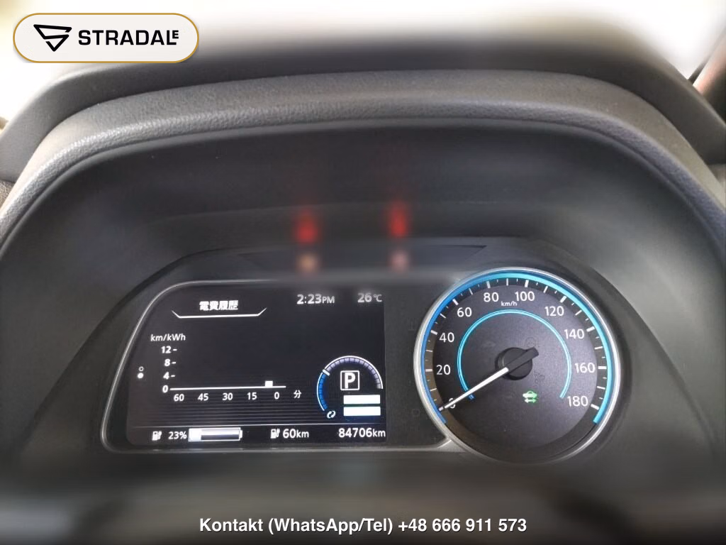 NISSAN LEAF X 10 THOUSAND UNITS MEMORIAL CAR, miniaturka 7
