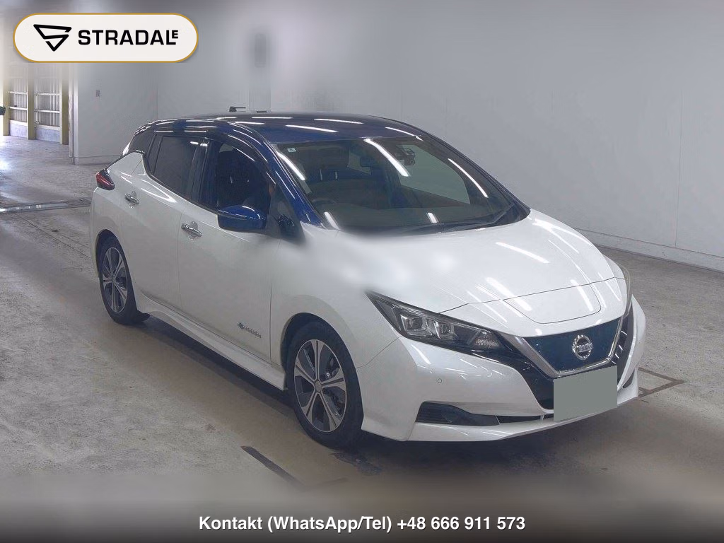 NISSAN LEAF X 10 THOUSAND UNITS MEMORIAL CAR 2018, aukcja z Japonii, zdjęcie 1