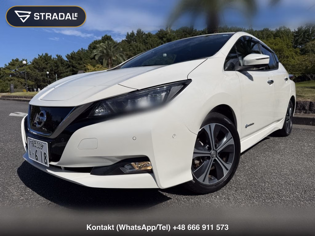 NISSAN LEAF G, miniaturka 9