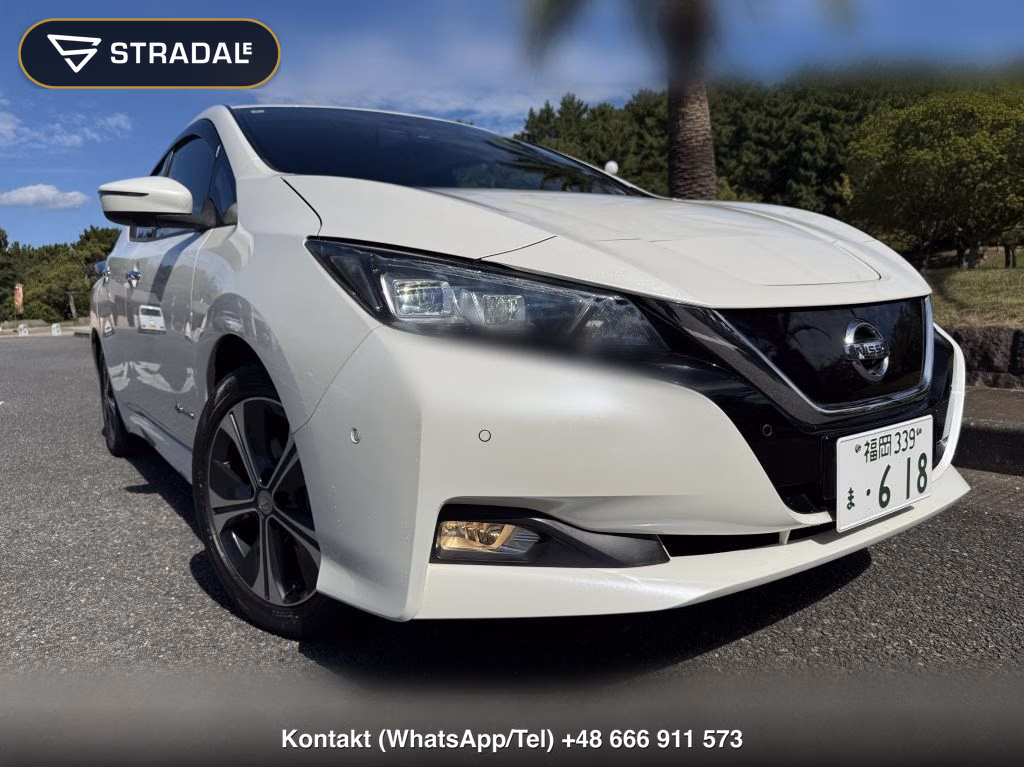 NISSAN LEAF G, miniaturka 10