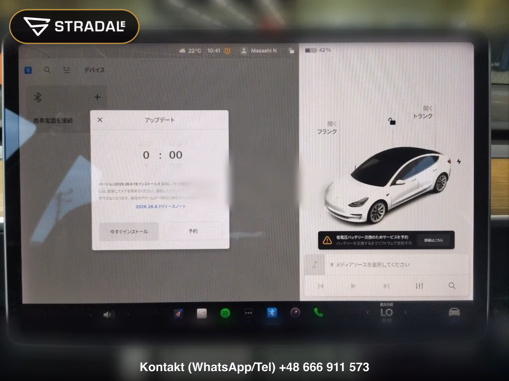 TESLA MODEL 3 4WD LONG RANGE, miniaturka 7
