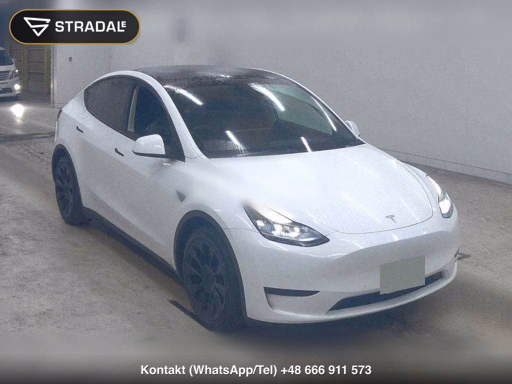 TESLA MODEL Y RWD, miniaturka 2