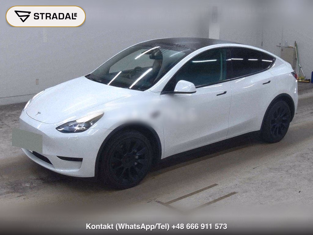 TESLA MODEL Y RWD, miniaturka 5
