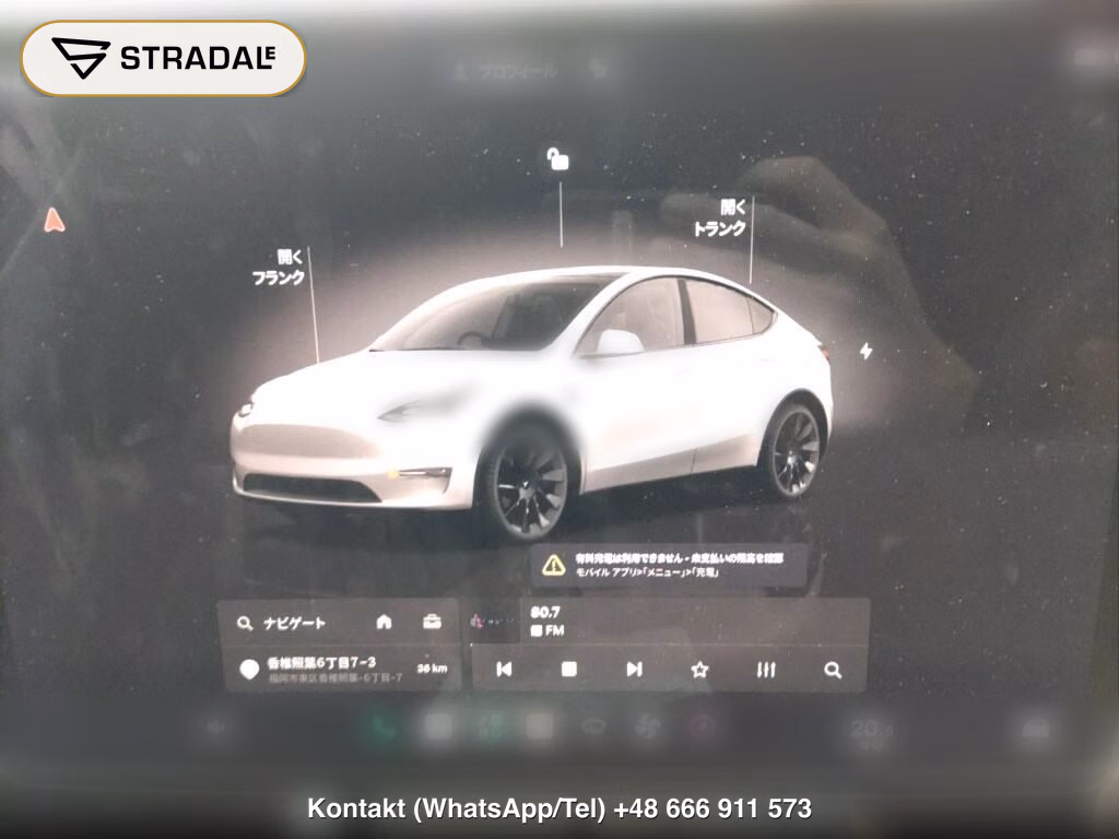 TESLA MODEL Y RWD, miniaturka 7
