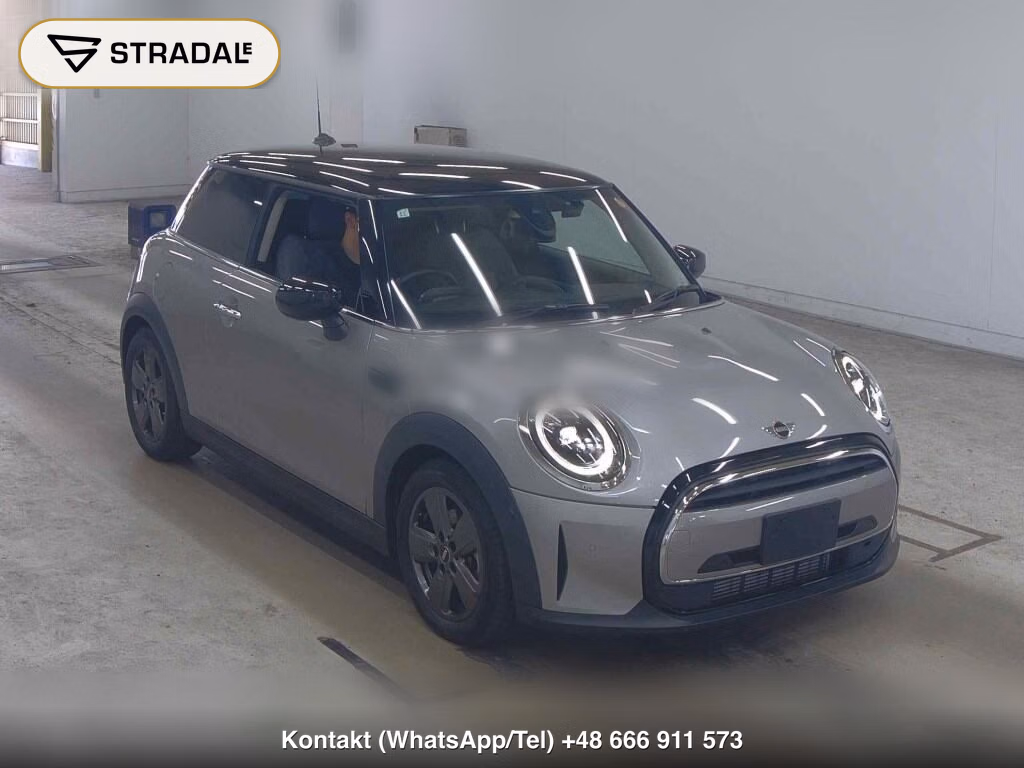 MINI MINI 3D OTHERS 2023, aukcja z Japonii, zdjęcie 1