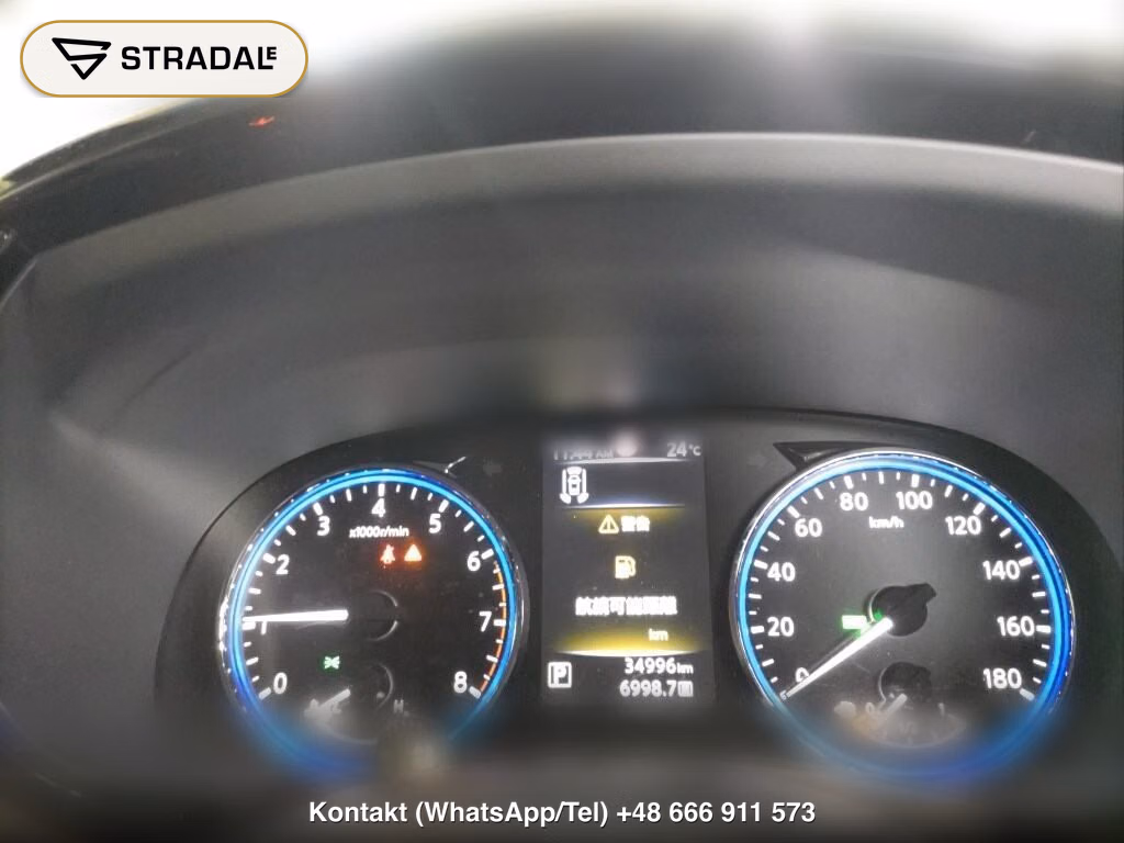 NISSAN ELGRAND 5D 250 HIGHWAY STAR S, miniaturka 7