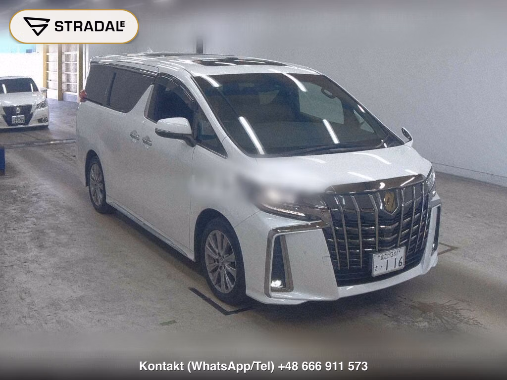 TOYOTA ALPHARD S TYPE GOLDⅢ, miniaturka 2