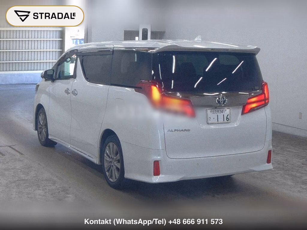 TOYOTA ALPHARD S TYPE GOLDⅢ, miniaturka 3